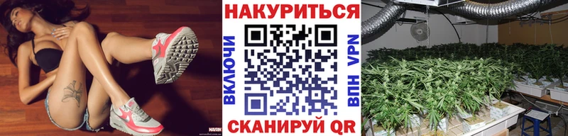 Шишки марихуана White Widow  Купить где  Мглин 